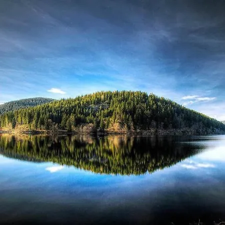 Symphonie Eine Ode An Harmonie Und Erholung Schluchsee