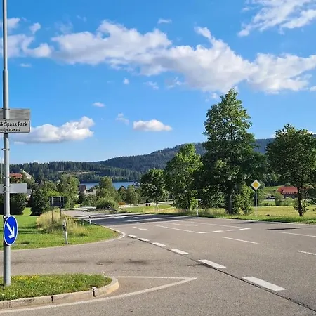 Apartment Symphonie Eine Ode An Harmonie Und Erholung Schluchsee