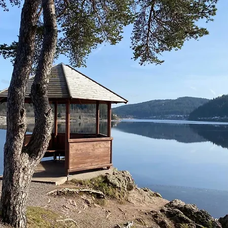Symphonie Eine Ode An Harmonie Und Erholung Apartment Schluchsee