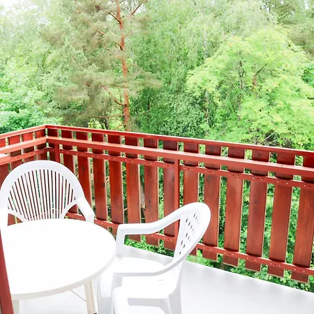 Symphonie Eine Ode An Harmonie Und Erholung Apartment Schluchsee